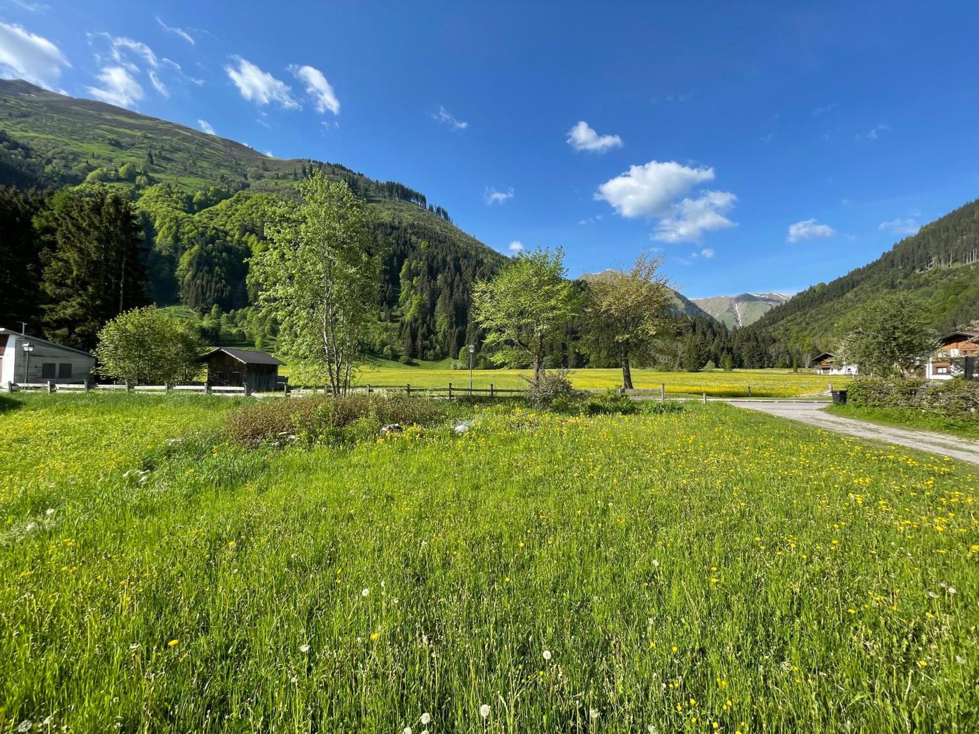 Villa Alpen *